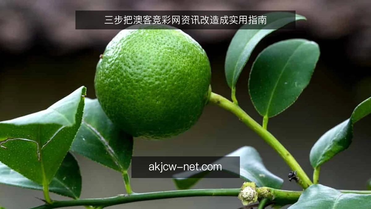 三步把澳客竞彩网资讯改造成实用指南