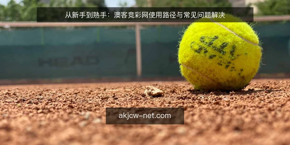 从新手到熟手：澳客竞彩网使用路径与常见问题解决 — 初识阶段的常见困惑 配图